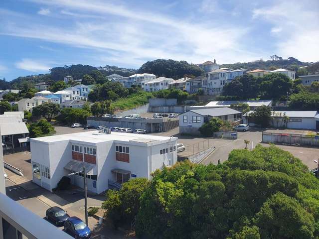 21 King Street Mount Cook_2