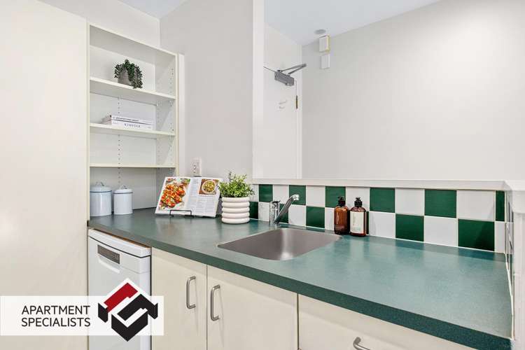 250 Richmond Grey Lynn_9