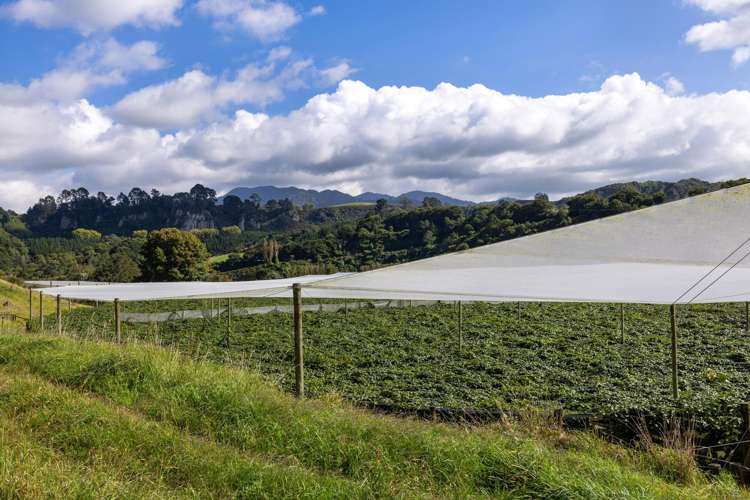 1151 Oreipunga Road Maungatautari_25