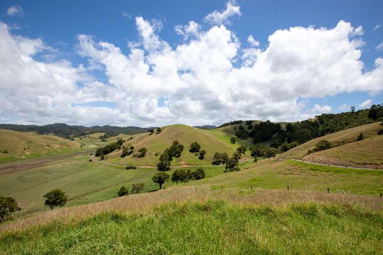 538 Hailes Road Whananaki_5