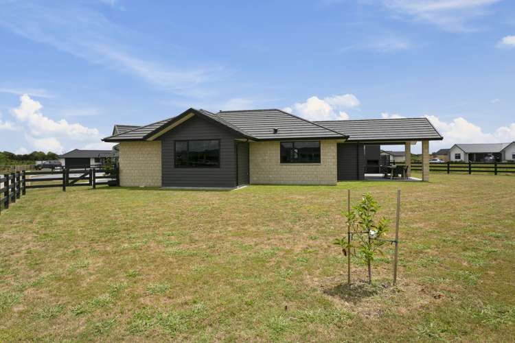 49 Alan Livingston Drive Cambridge_19