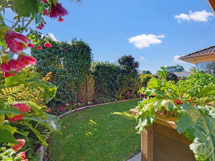 6A Barry Avenue Whakatane_29