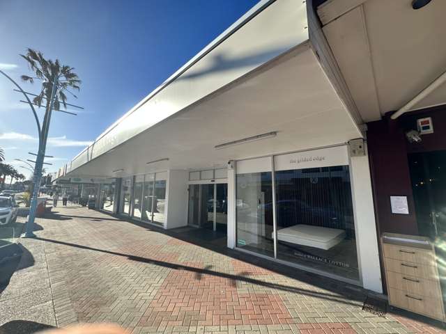 159 Maunganui Road Mount Maunganui_4