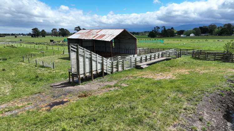 Duddings Line Tauherenikau_12