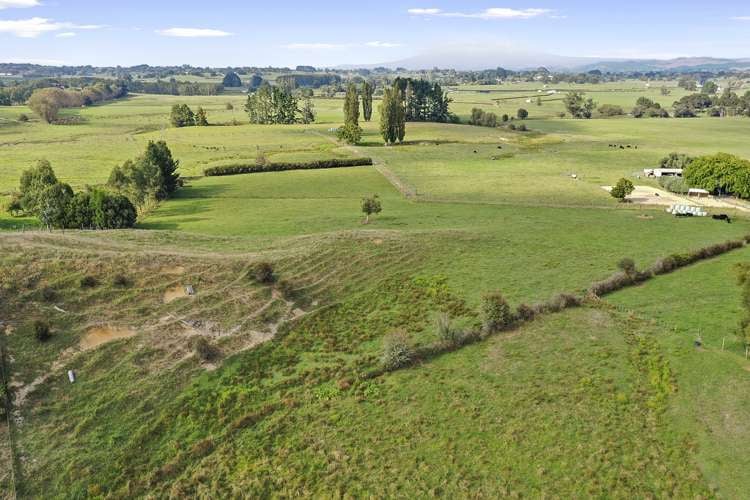 262C Fullerton Road Rotokauri_13