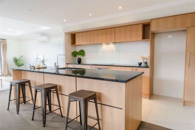 3 Mckendry Road Wigram_2