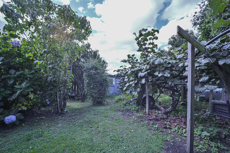 1209a Willowpark Road North Mayfair_13