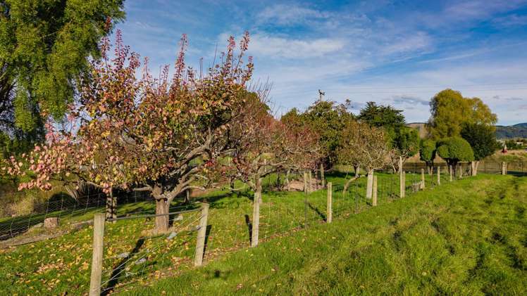 15 Pembroke Street Waimate_14