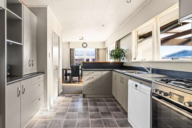 4 Plunket Street Tamatea_1