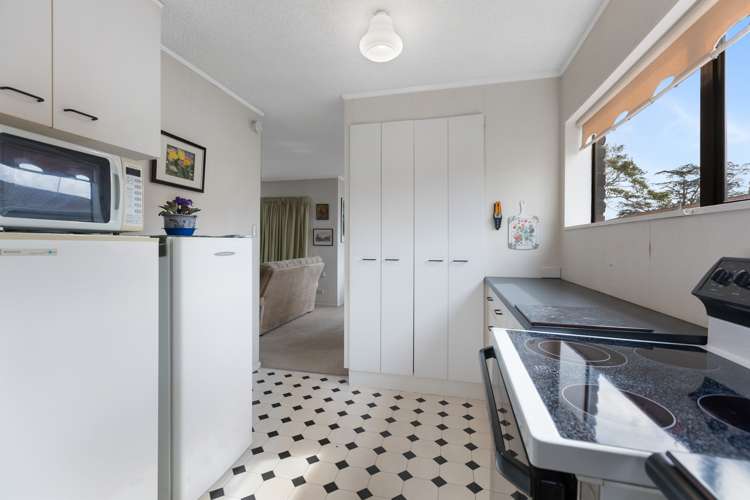 256 Tukapa Street Hurdon_2