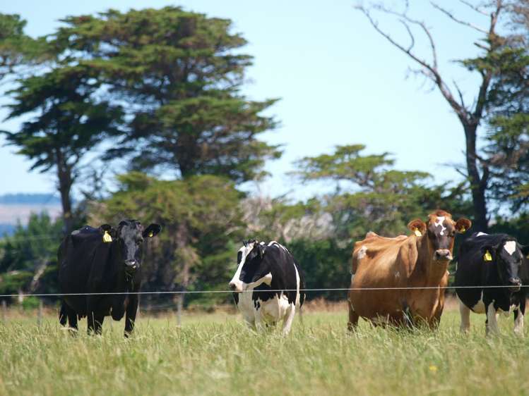 238 Kumenga Road Featherston_12