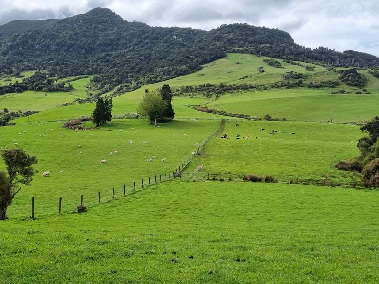 Tahakopa Valley Road Catlins Surrounds_6