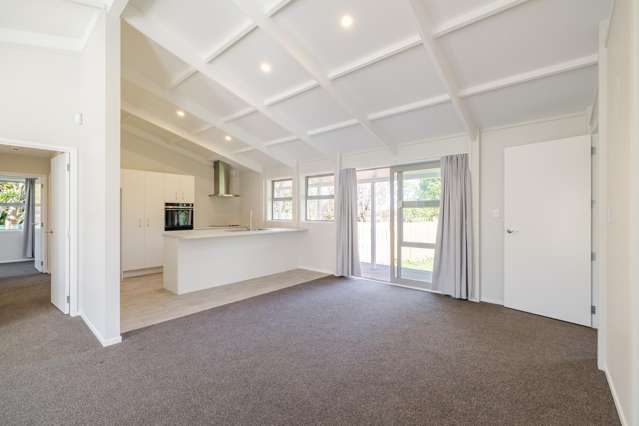 7 Fagan Street Bulls_4