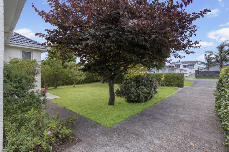 207 Arthur Street Onehunga_13