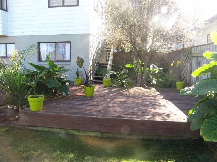 119 Lowe Avenue Thames_24