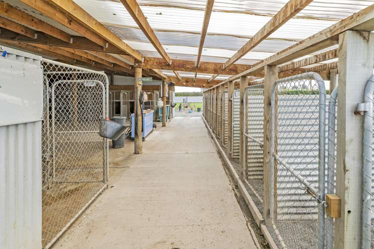 199 Harts Road Leeston_22