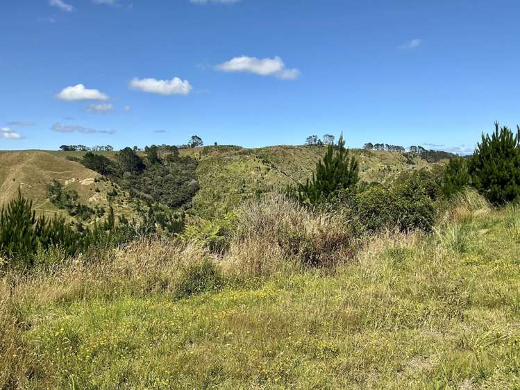 1391 Kaipara Hills Road Kaipara Flats_8