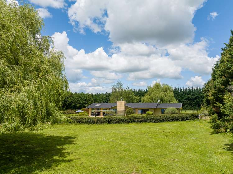 191 Hautapu Road Pukemoremore_4