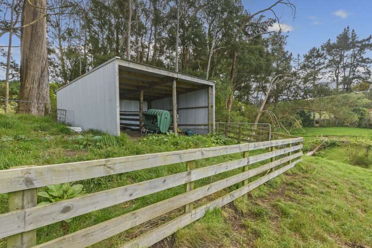 285c Wainui South Road Whakamarama_26