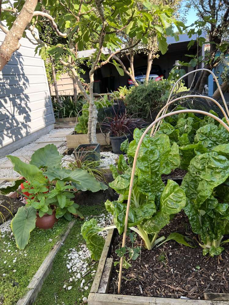 1/58 Takutai Avenue Half Moon Bay_36