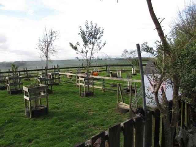 60 Cameron Road Morrinsville_3