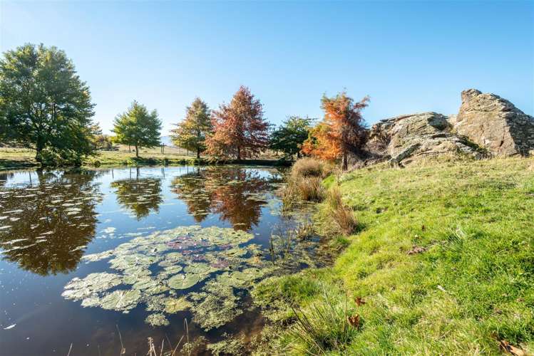 196 Chapman Road Alexandra_18