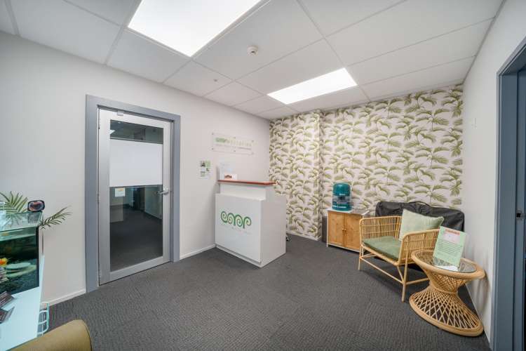 8/92 Queens Drive Hutt Central_12