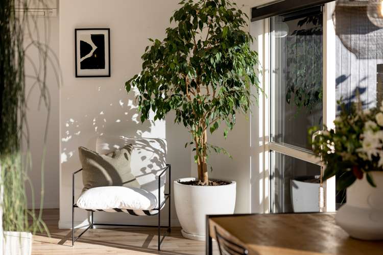 46 Ocean Crest Papamoa_19