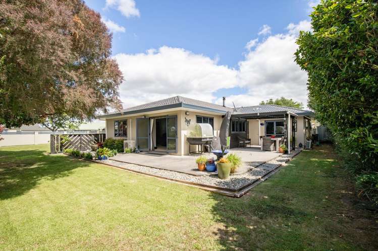 1 Harris Place Ngatea_1