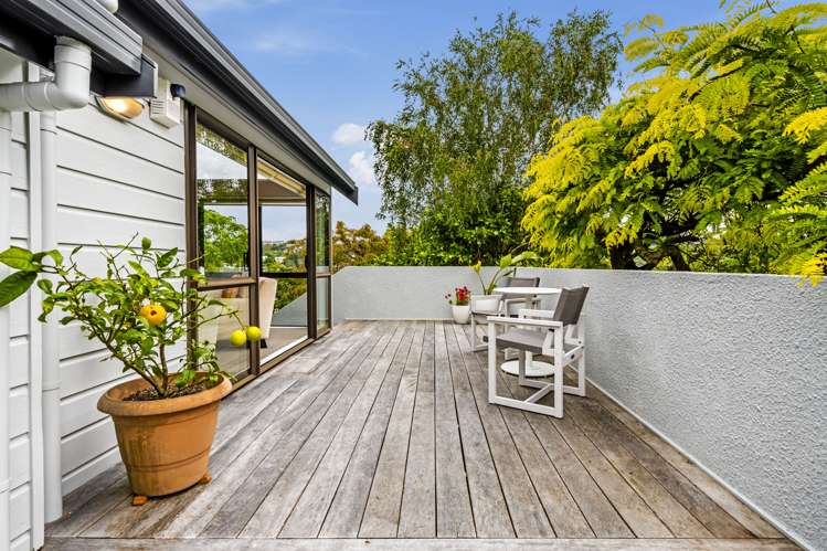 117 Frederick Street Hillsborough_27