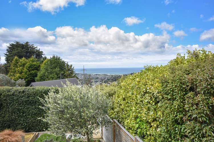 113 Mornington Road Kenmure_19