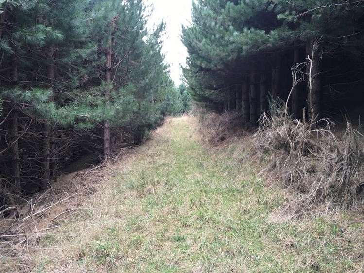 581a Mcqueens Valley Road Gebbies Valley_15