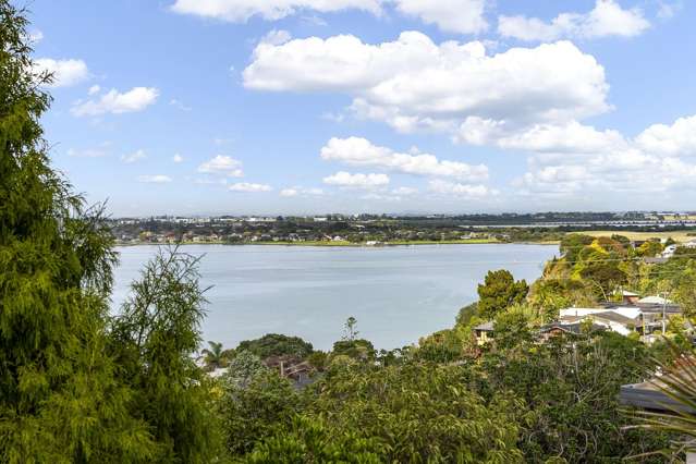 2a Tynor Place Hillsborough_4