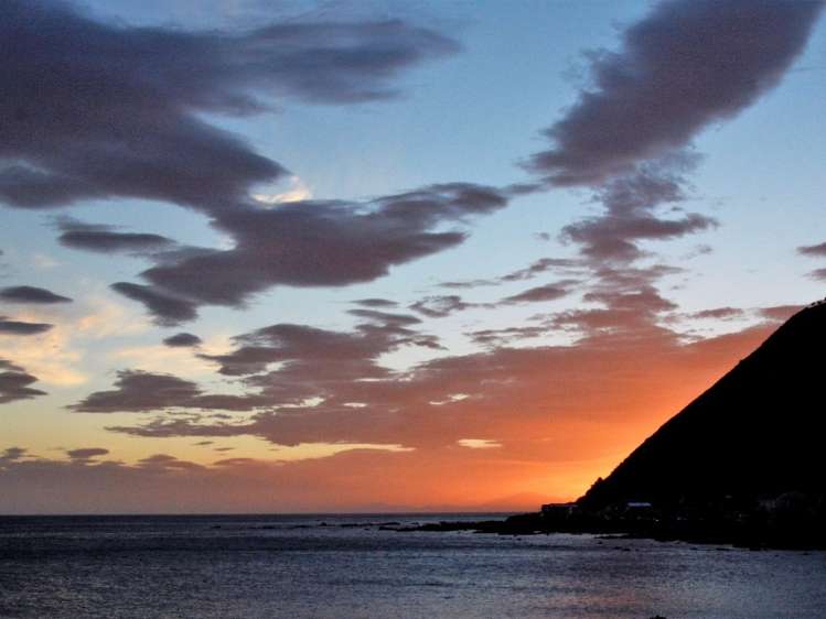 1/48 Owhiro Bay Parade Owhiro Bay_15