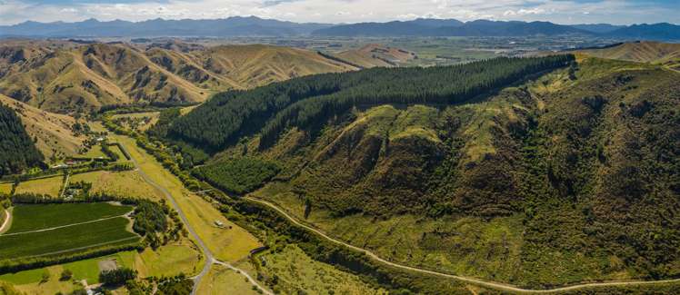 793 Taylor Pass Road Taylor Pass_5