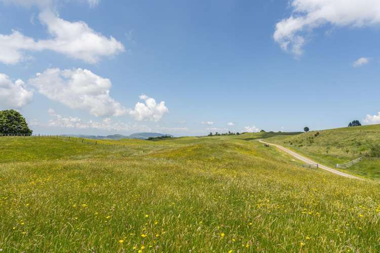 1461 Poihipi Road Oruanui_9