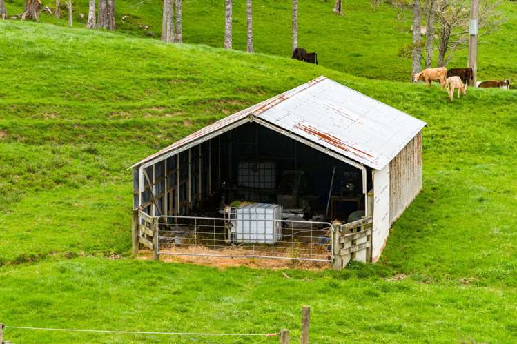 1070 Tangihua Road Maungakaramea_22