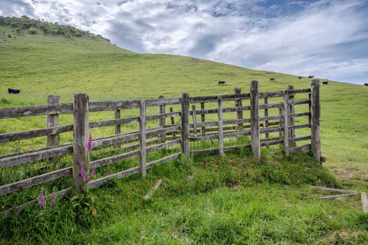 350 Pigeon Bay Road Pigeon Bay_12