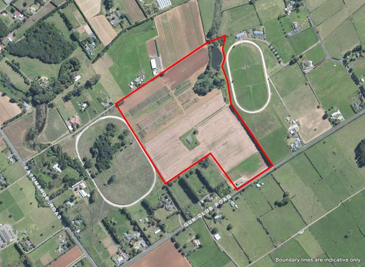 286 Gun Club Road Pukekohe_7