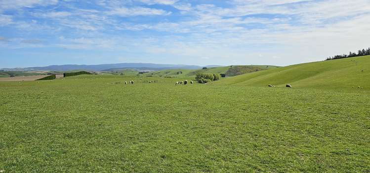 919 Miller Road Clinton and Surrounds_16