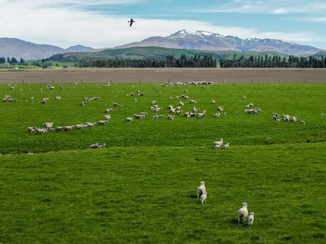 5582 Wedderburn-Becks Road Hills Creek_1