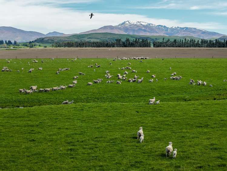 5582 Wedderburn-Becks Road Hills Creek_1