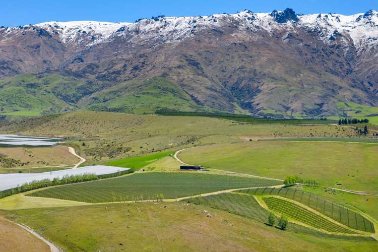 1005 Luggate-Cromwell Road Mount Pisa_34