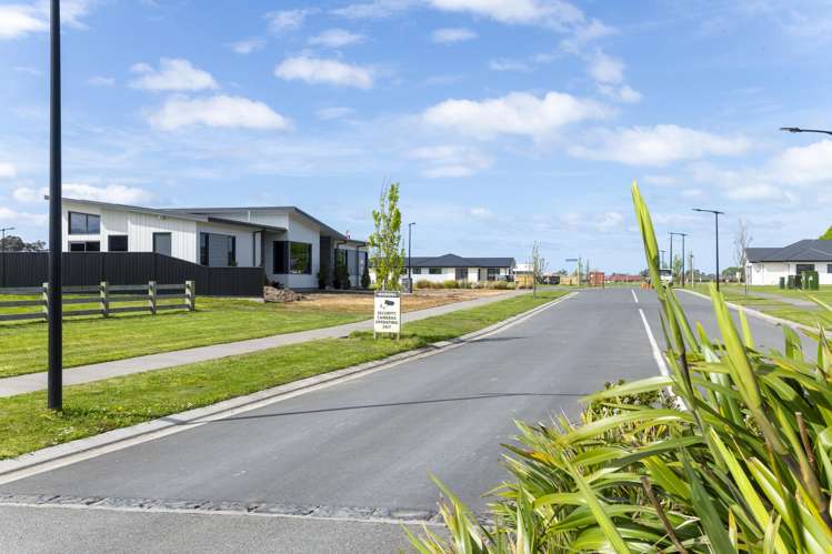 10 Allan Avenue Makauri_18