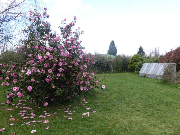 10 Cameron Street Methven_11