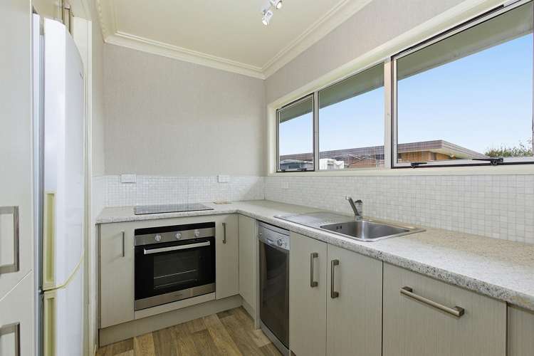 149 Studholme Street Morrinsville_11