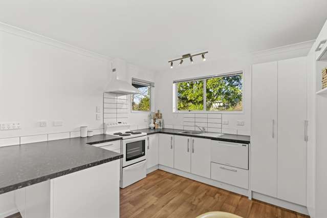 1/123 Condell Avenue Papanui_1