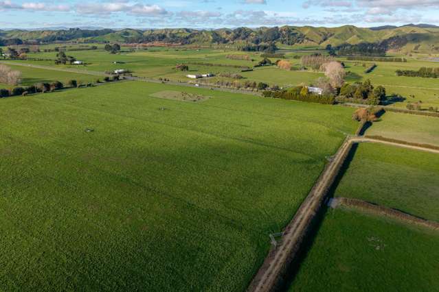 State Highway 2 Pahiatua_2
