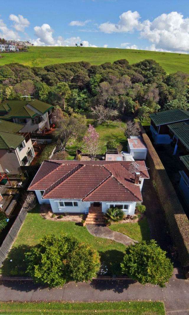 27 Atkin Avenue Mission Bay_1