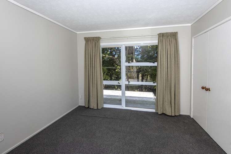 196 Carruth Road Poroti_7